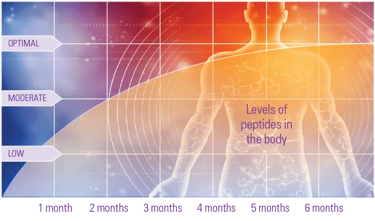 Levels of Peptides in the Body