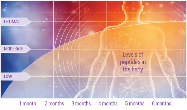 Levels of Peptides in the Body